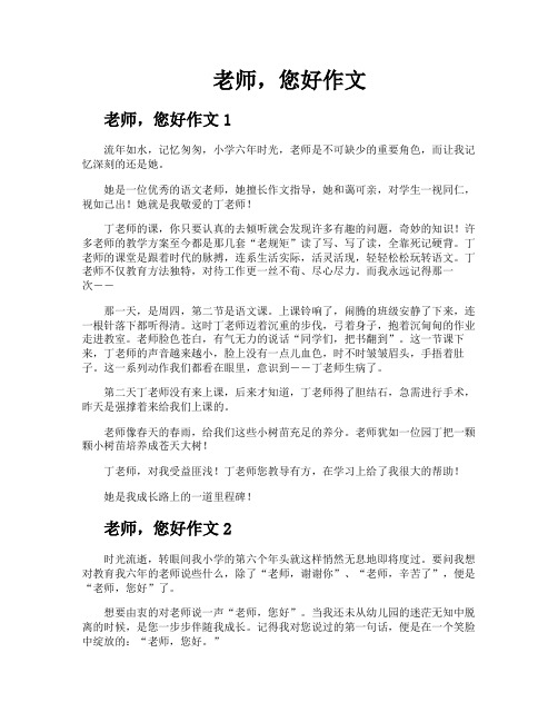 老师您好作文