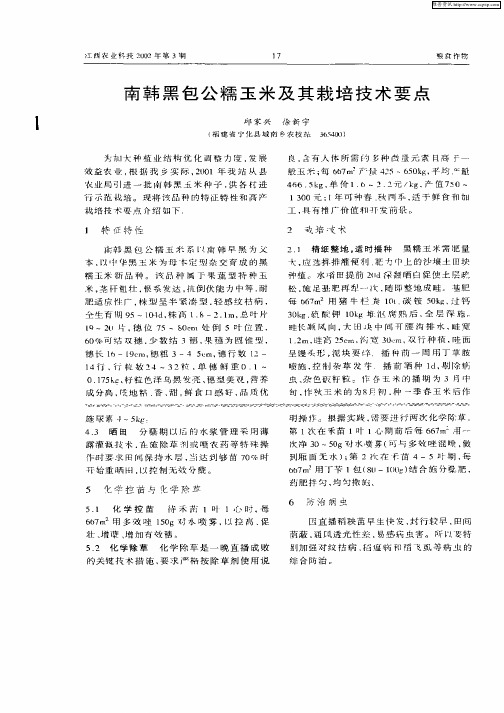 南韩黑包公糯玉米及其栽培技术要点