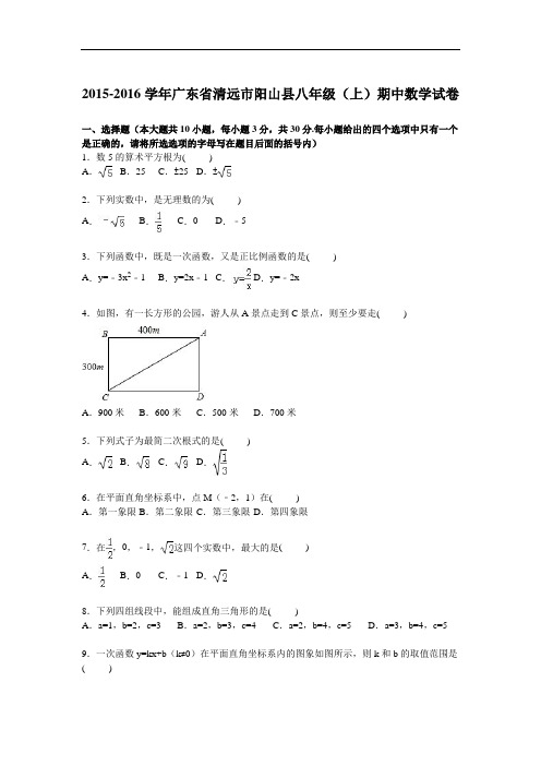 清远市阳山县八级上期中数学试卷含答案解析