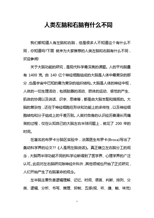 人类左脑和右脑有什么不同