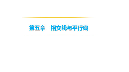 人教版七年级下册  5.1 相交线 课件(共23张PPT)