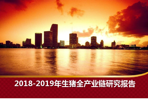 2018-2019年生猪全产业链研究报告