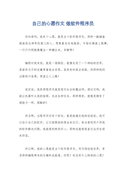 自己的心愿作文 做软件程序员