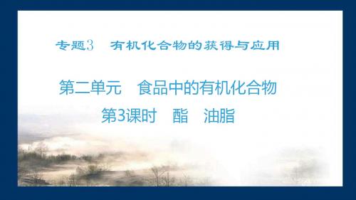 苏教版必修二专题三第二单元第三课时  酯  油脂(PPT18张)