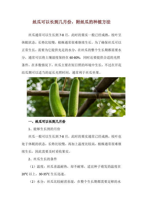 丝瓜可以长到几月份,附丝瓜的种植方法