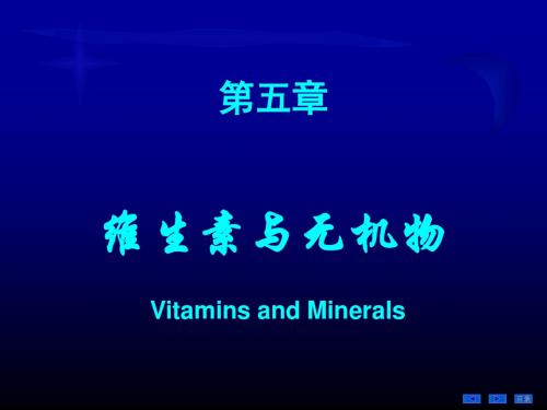 4_维生素和无机盐