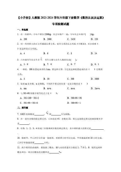 【小升初】人教版2023-2024学年六年级下册数学《数的认识及运算》专项检测试题(含答案)