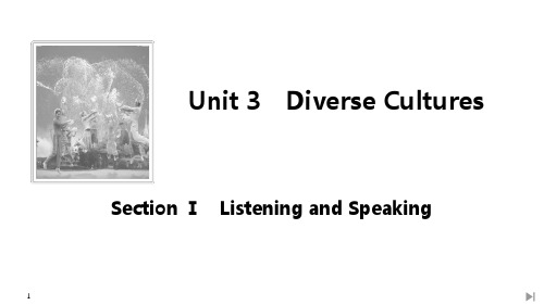 《Diverse Cultures》SectionⅠ PPT课件