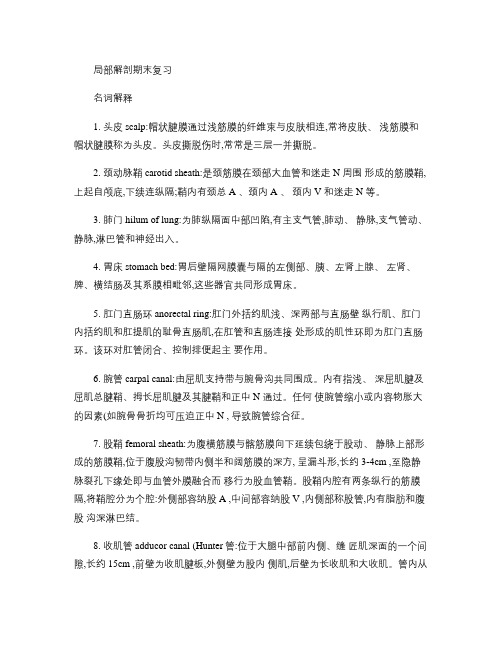 昆明医科大学局部解剖期末复习汇总