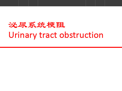 ·外科学PPT课件 泌尿系统梗阻 尿路梗阻