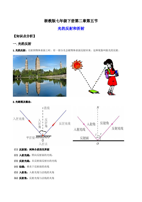 2.5光的反射和折射(讲义)(原卷版)