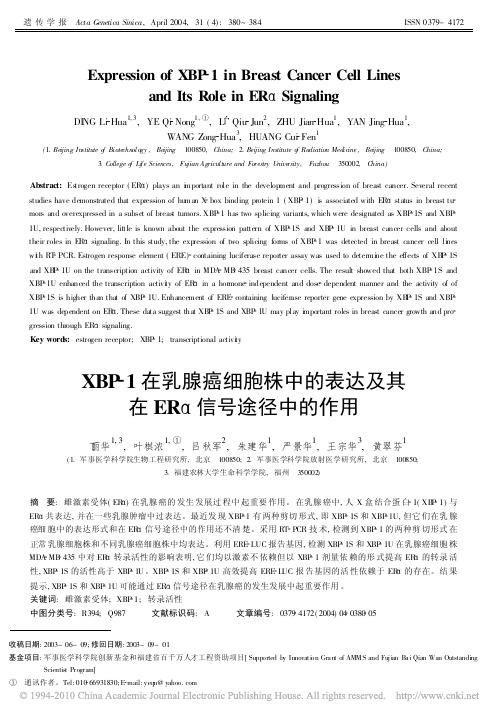 XBP_1在乳腺癌细胞株中的表达及其在ER_信号途径中的作用