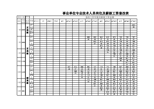 事业单位专业技术人员岗位薪级工资套改表