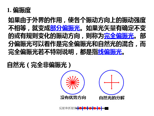 反射和折射的偏振特性课件