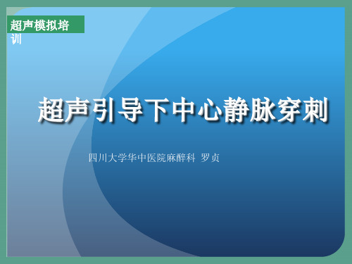 超声引导下中心静脉穿刺罗贞 ppt课件