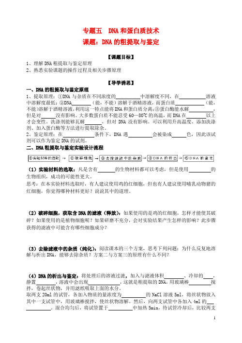 江苏省扬州市宝应县画川高级中学高中生物 专题五 DNA