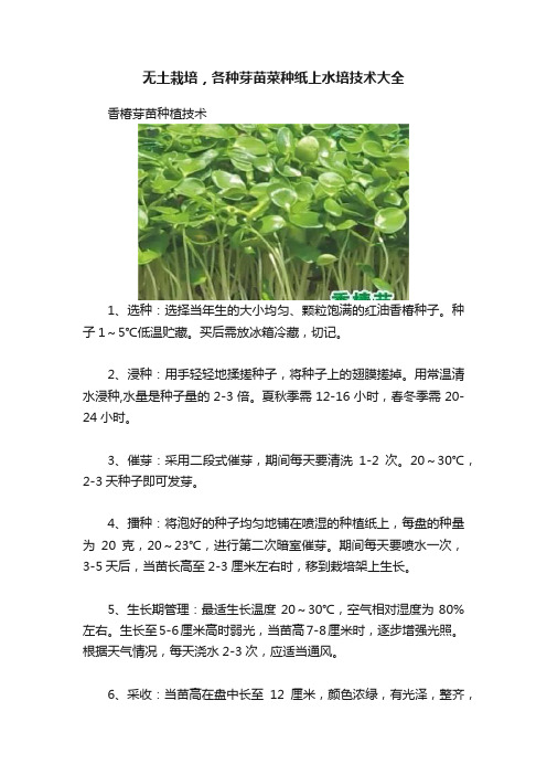 无土栽培，各种芽苗菜种纸上水培技术大全