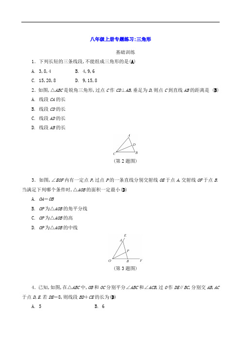 八年级数学上册专题练习：三角形