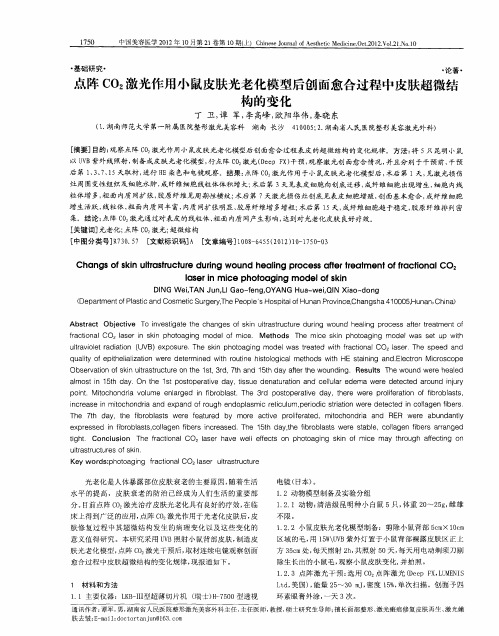 点阵CO2激光作用小鼠皮肤光老化模型后创面愈合过程中皮肤超微结构的变化