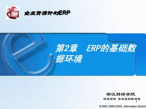 浙江财经大学 ERP多媒体课件02