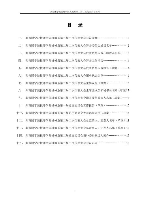 团总支代表大会文件