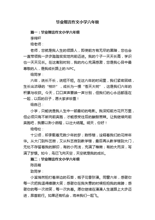 毕业赠言作文小学六年级