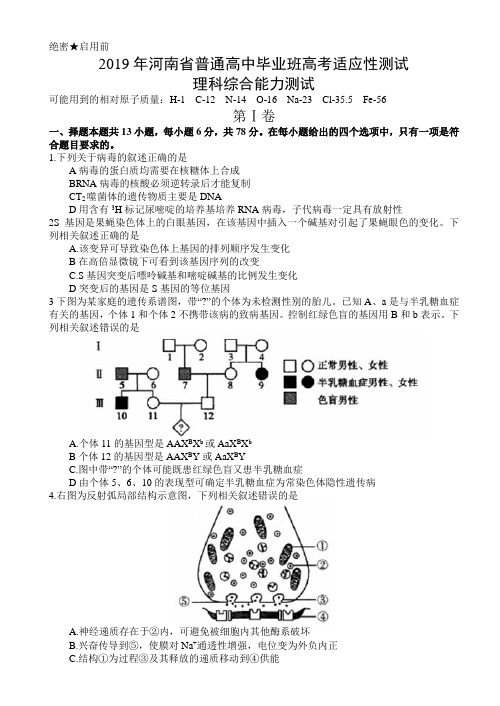 河南省2019届高三普通高中毕业班高考适应性测试理科综合试卷