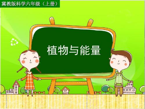 六年级科学上册第9课植物与能量 PPT精品课件3冀教版