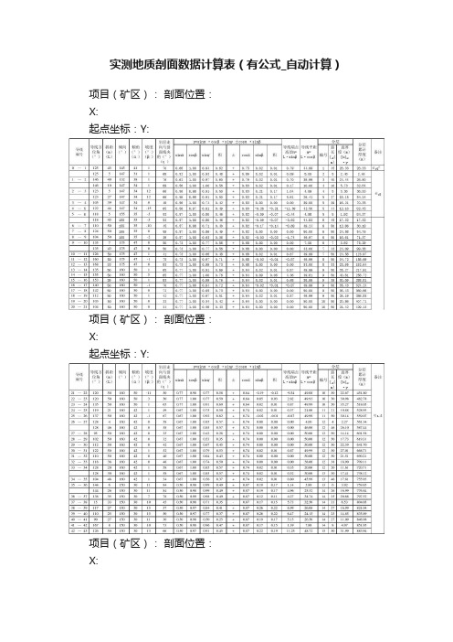 实测地质剖面数据计算表（有公式_自动计算）