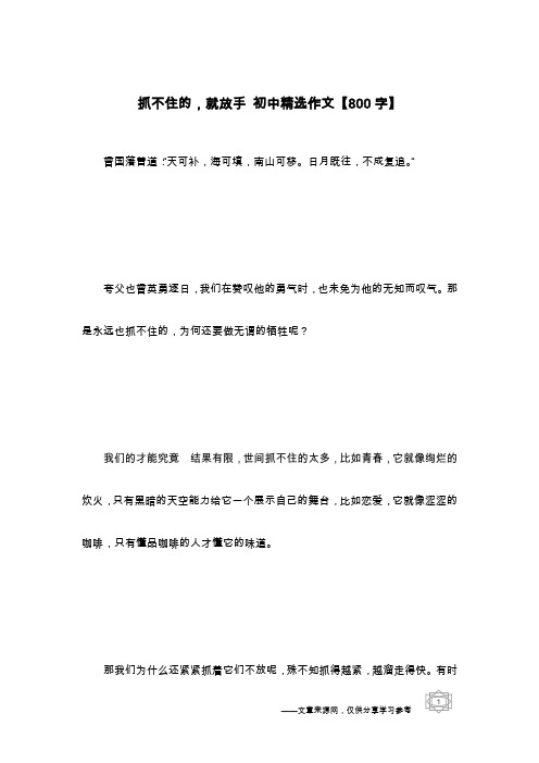 抓不住的,就放手 初中精选作文【800字】