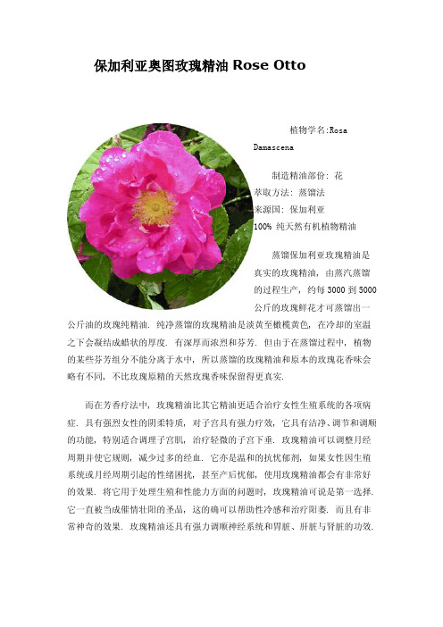 保加利亚奥图玫瑰精油RoseOtto