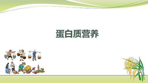 1.3蛋白质的营养(2)课件《畜禽营养与饲料》同步教学(高教版第三版)