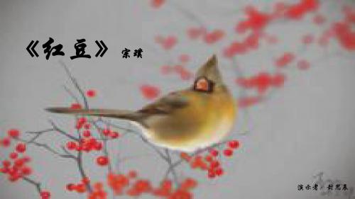 红豆