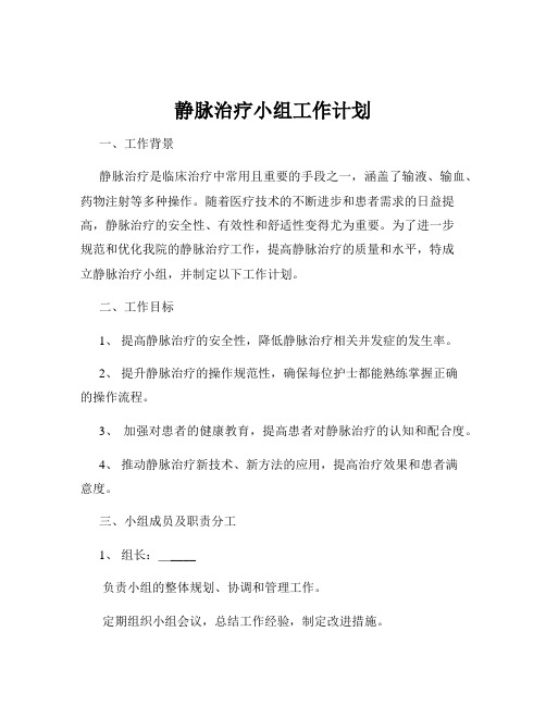 静脉治疗小组工作计划