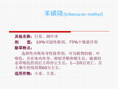 苯磺隆(tribenuron-methyl)