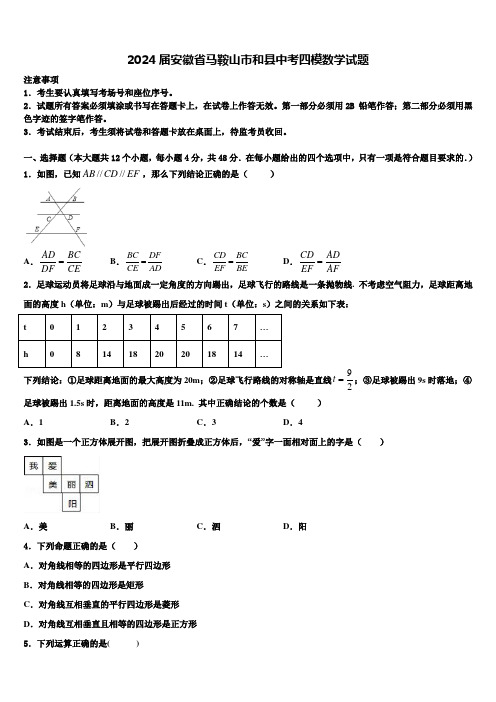 2024届安徽省马鞍山市和县中考四模数学试题含解析