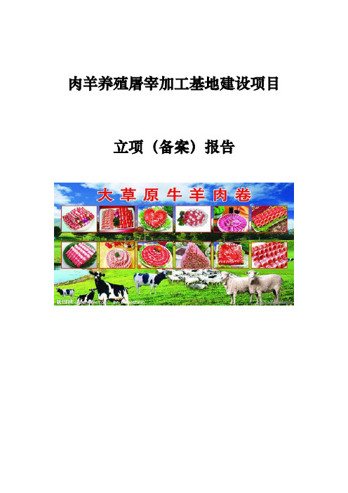 肉羊屠宰包装加工项目申报书范本