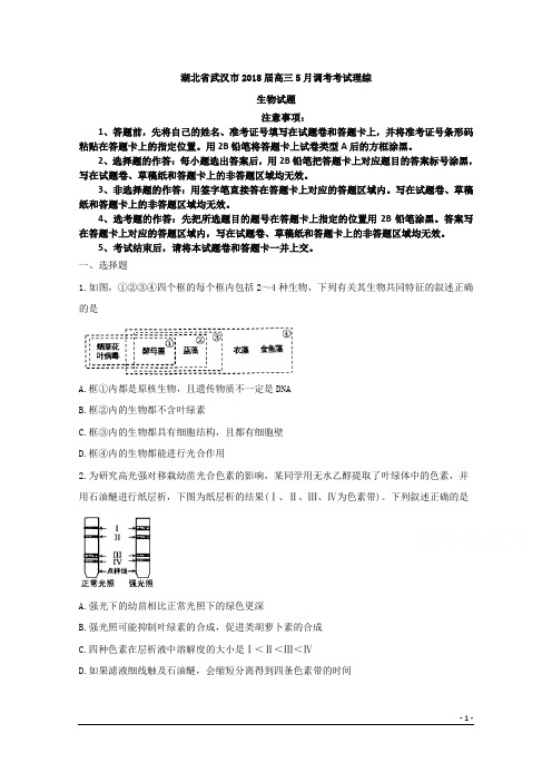 湖北省武汉市2018届高三5月调考考试理综生物试题