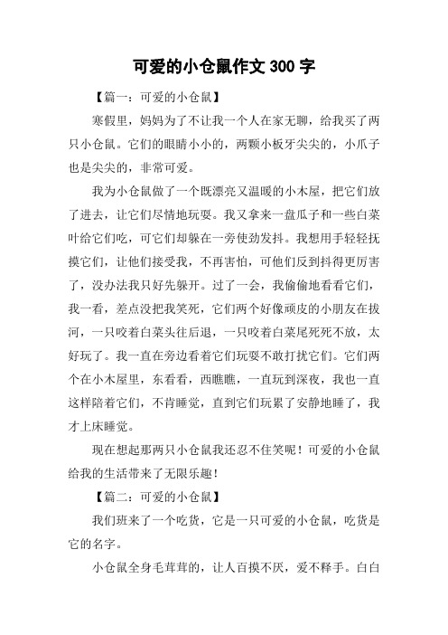 可爱的小仓鼠作文300字_1