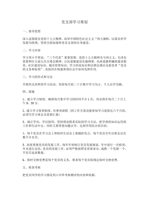 党支部学习活动策划 精编