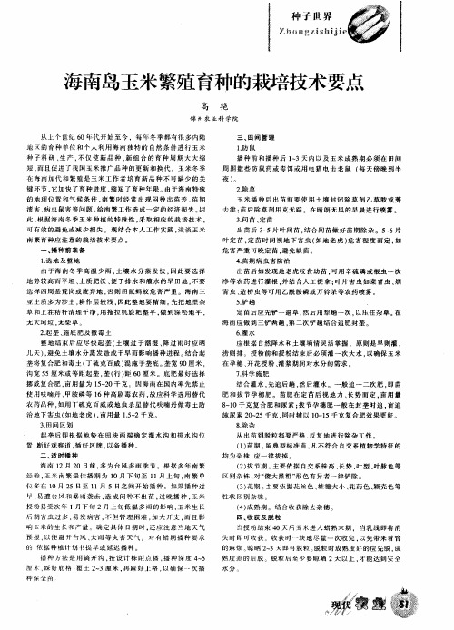 海南岛玉米繁殖育种的栽培技术要点