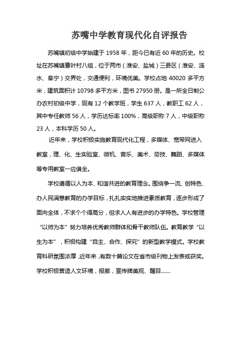 苏嘴中学教育现代化自评报告