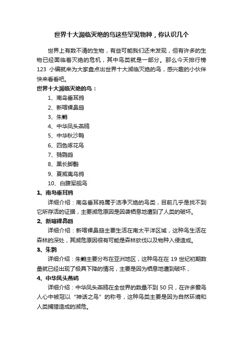 世界十大濒临灭绝的鸟这些罕见物种，你认识几个