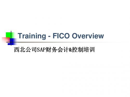 中航油西北公司SAP_FICO Overview