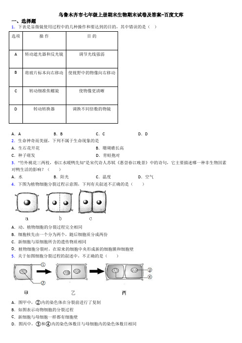 乌鲁木齐市七年级上册期末生物期末试卷及答案-百度文库