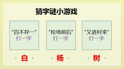 第5课《白杨礼赞》+课件2023-2024学年统编版语文八年级上册