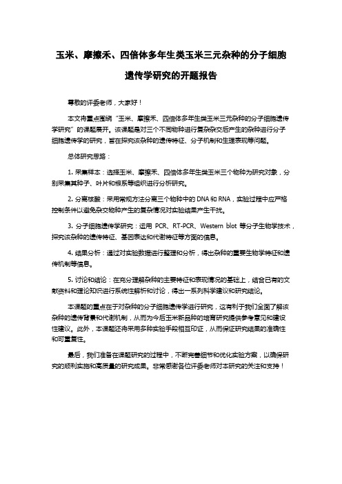 玉米、摩擦禾、四倍体多年生类玉米三元杂种的分子细胞遗传学研究的开题报告