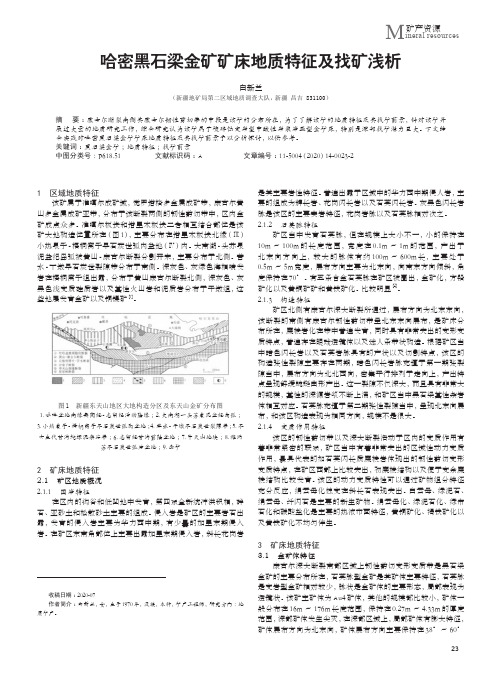 哈密黑石梁金矿矿床地质特征及找矿浅析