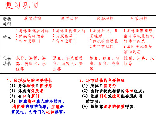 八年级生物上册软体动物和节肢动物