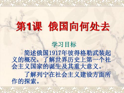 第1课-俄国向何处去课件上课用